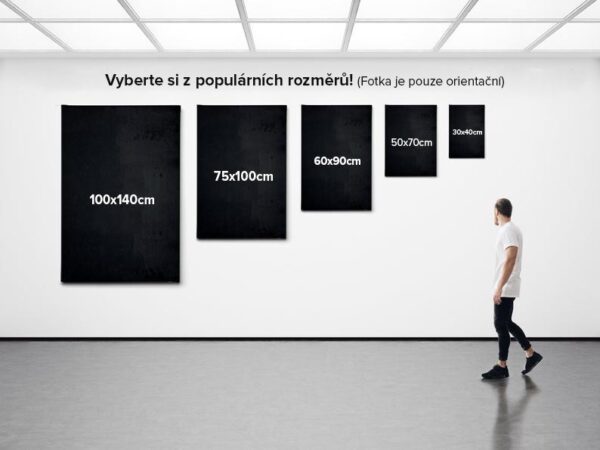 Fotoobraz z vlastní fotky - Image 2